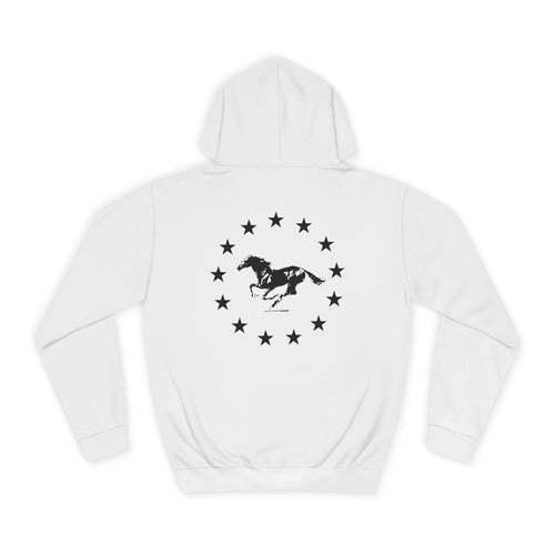 Ambitious Hoodie