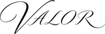 PaceOn - Startseite